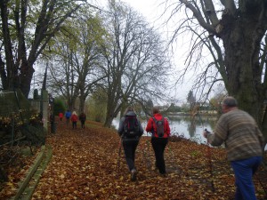 2014 Nov marche nordique (18)