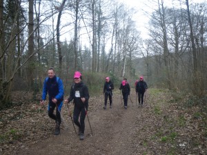 Dans les bois